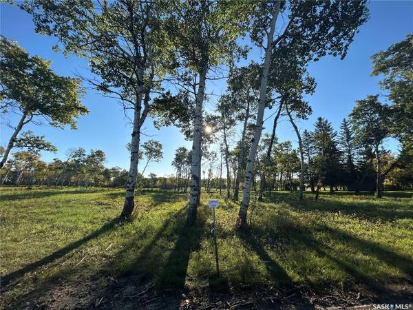 Rural Address, Moosomin Rm No. 121, SK S0G 3N0