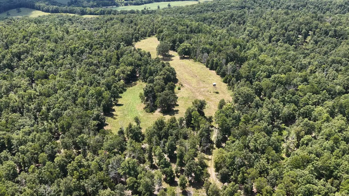 0000 County Road 422-17, Birch Tree, MO 65438