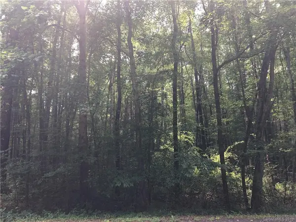 86 N Scalybark TRL, Concord, NC 28027