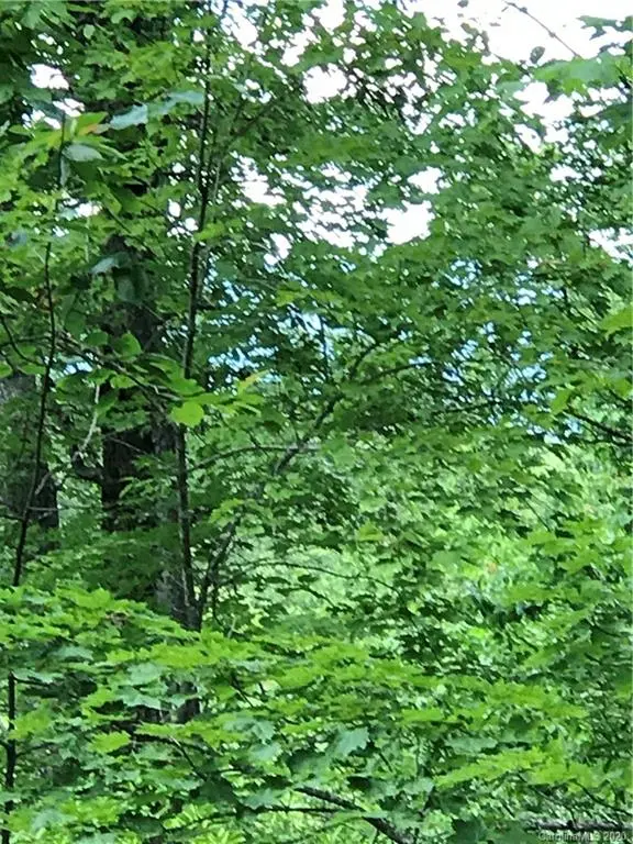 000 Wild Horse DR #17,  Nebo,  NC 28761