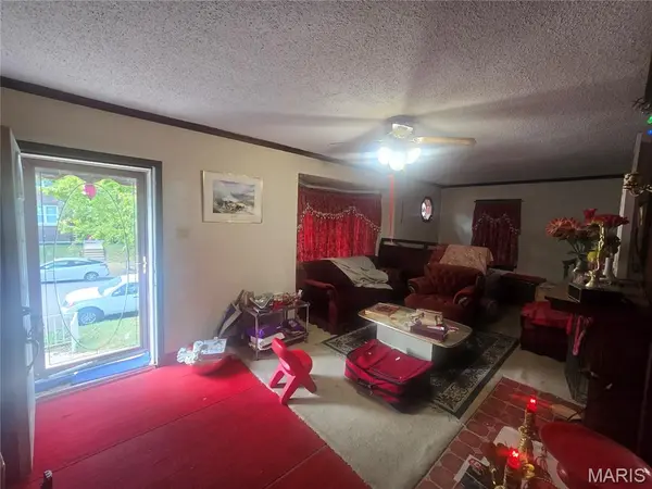 3907 McDonald AVE, St Louis, MO 63116