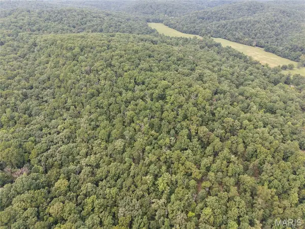 Section 32 Township 29 Range 3, Piedmont, MO 63957