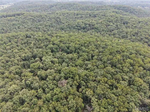 Section 32 Township 29 Range 3, Piedmont, MO 63957