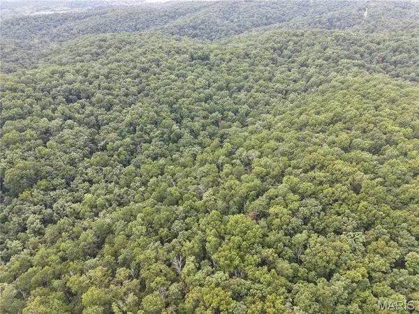 Section 32 Township 29 Range 3, Piedmont, MO 63957