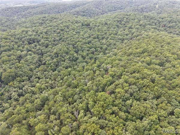 Section 32 Township 29 Range 3, Piedmont, MO 63957