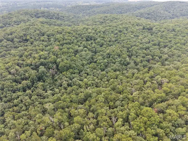 Section 32 Township 29 Range 3, Piedmont, MO 63957