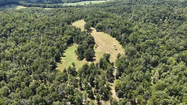 0000 County Road 422-17, Birch Tree, MO 65438