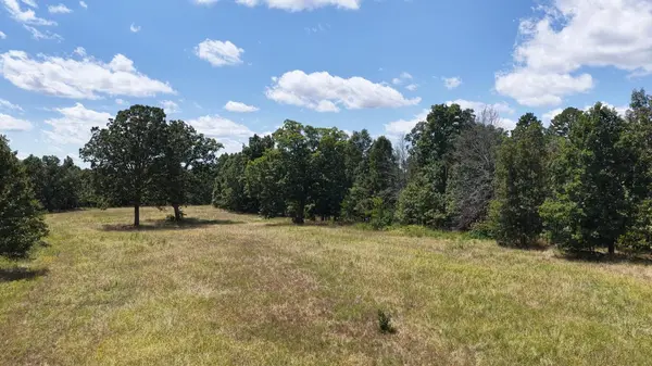 0000 County Road 422-17, Birch Tree, MO 65438