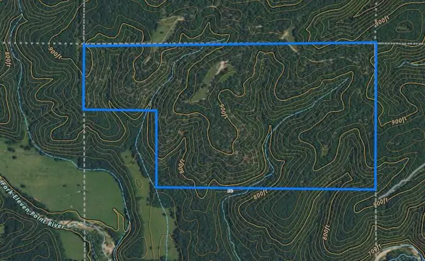 0000 County Road 422-17, Birch Tree, MO 65438
