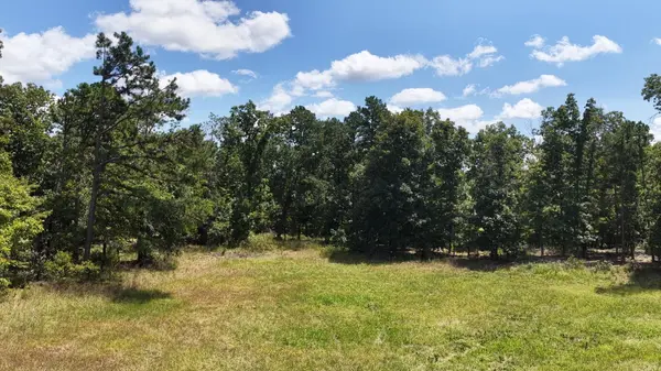 0000 County Road 422-17, Birch Tree, MO 65438