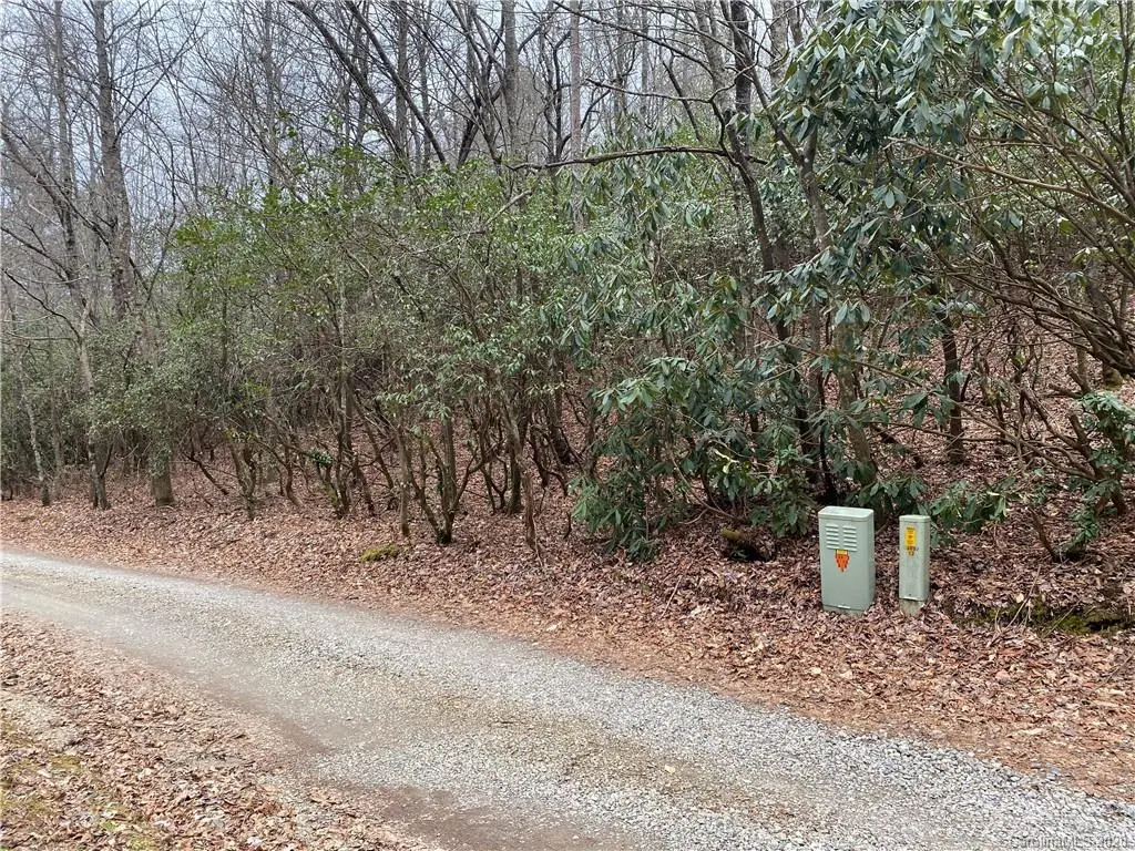 TBD Forest Lake RD, Brevard, NC 28712