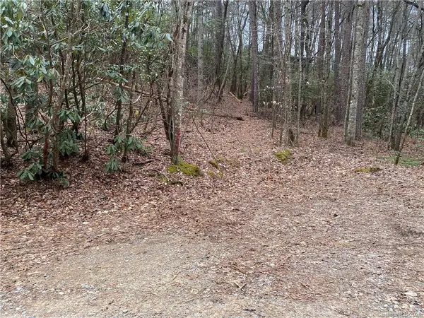 TBD Forest Lake RD, Brevard, NC 28712