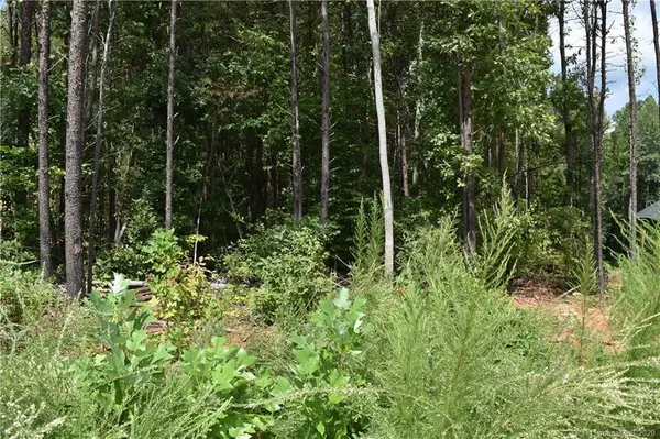 149 Brawley Woods LN #12, Mooresville, NC 28115