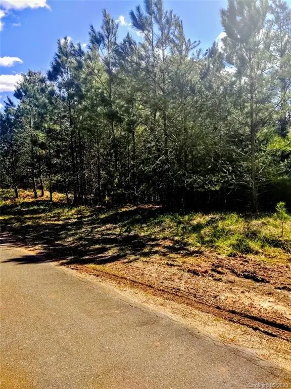 10135 Lakeshore DR, Lancaster, SC 29720