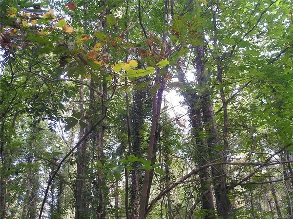 Lot 109 Archie LN, Monroe, NC 28112