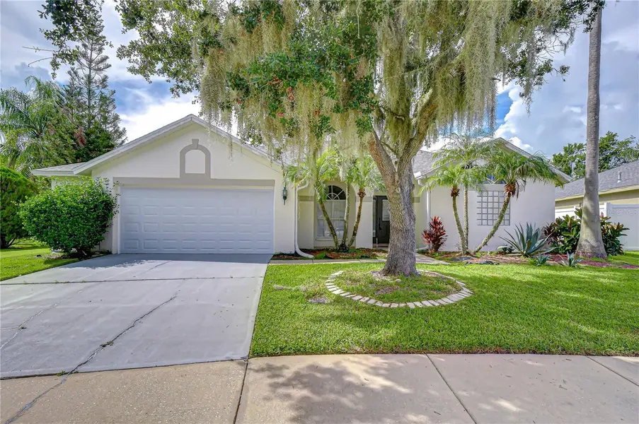 29619 ALLEGRO DR, Wesley Chapel, FL 33543