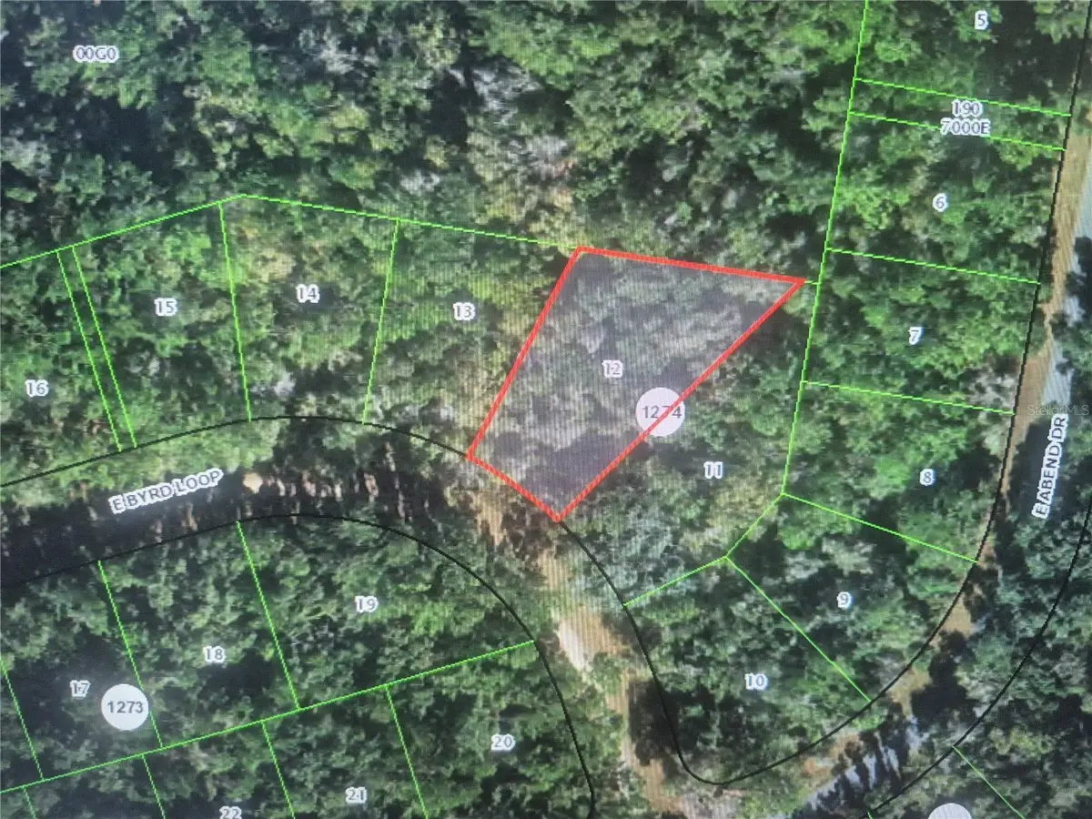 893 E BYRD LOOP, Citrus Springs, FL 34434