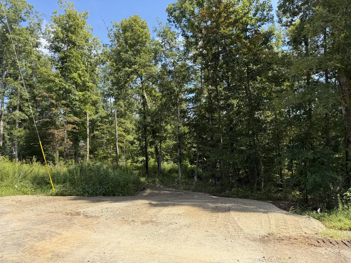 1 Slaughter Rd, Primm Springs, TN 38476
