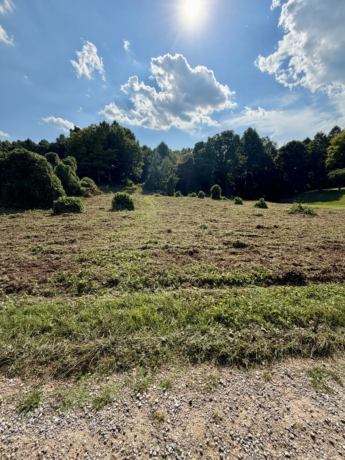 140 Scenic View Lane, Madisonville, TN 37354
