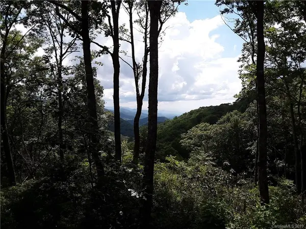 00 Plott Balsam RD, Maggie Valley, NC 28751