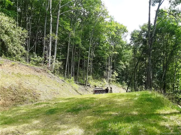 00 Plott Balsam RD, Maggie Valley, NC 28751