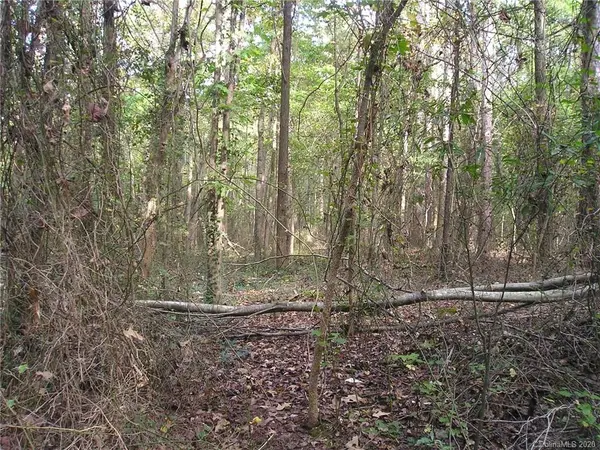 Lot 110 Archie LN, Monroe, NC 28112