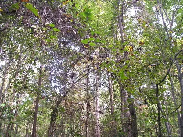Lot 110 Archie LN, Monroe, NC 28112