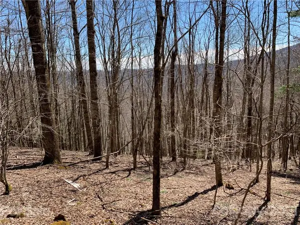 TBD (Lots 65, 66, & 67) Telemark LN #65, 66, & 67, Seven Devils, NC 28604