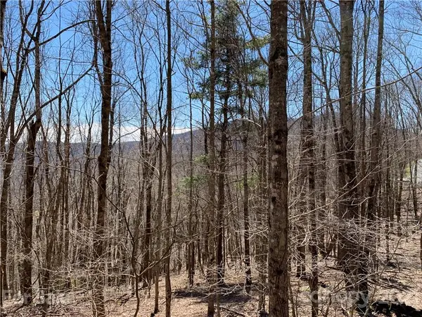 TBD (Lots 65, 66, & 67) Telemark LN #65, 66, & 67, Seven Devils, NC 28604