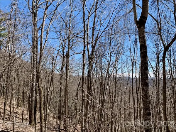 TBD (Lots 65, 66, & 67) Telemark LN #65, 66, & 67, Seven Devils, NC 28604