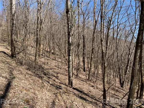 TBD (Lots 65, 66, & 67) Telemark LN #65, 66, & 67, Seven Devils, NC 28604