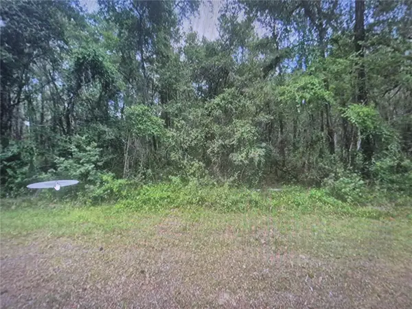 893 E BYRD LOOP, Citrus Springs, FL 34434