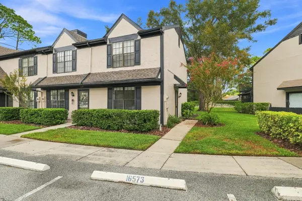 16573 BRIGADOON DR, Tampa, FL 33618