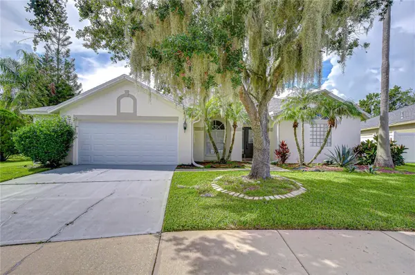29619 ALLEGRO DR, Wesley Chapel, FL 33543