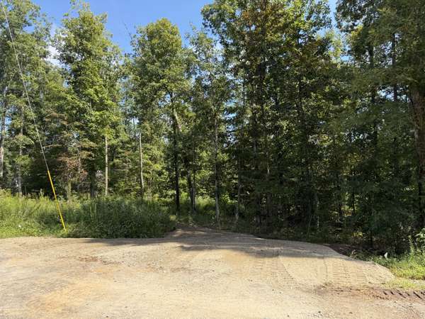 1 Slaughter Rd, Primm Springs, TN 38476