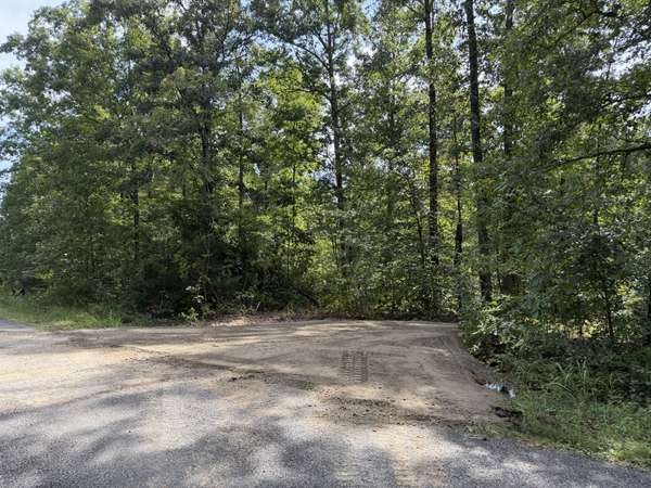 9 Slaughter Rd, Primm Springs, TN 38476