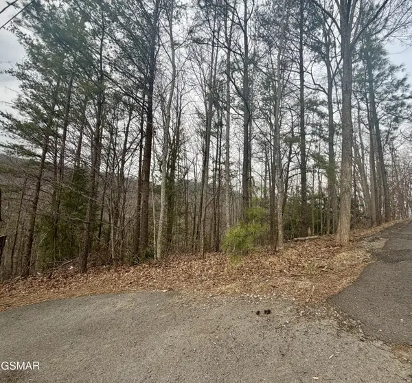 6 Thissa Way, Gatlinburg, TN 37738