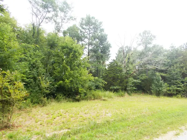 0 Sand Pit Loop, Camden, TN 38320