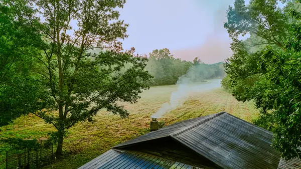 965 Flag Springs Rd, Lynnville, TN 38472