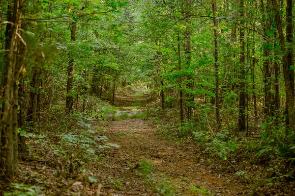 965 Flag Springs Rd, Lynnville, TN 38472