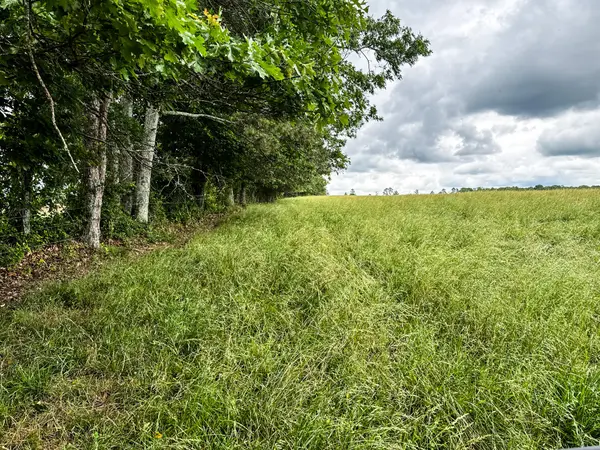 0 David Patterson Rd, Lutts, TN 38471