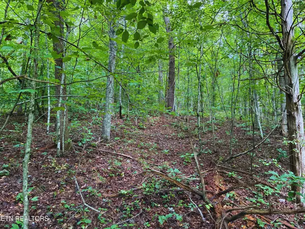 601 Vardy Blackwater Rd, Sneedville, TN 37869