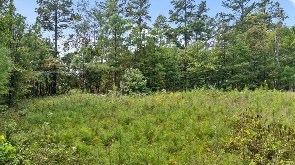 0 Big View Rd, Guild, TN 37340