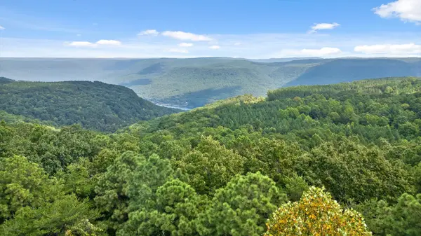 0 Big View Rd, Guild, TN 37340