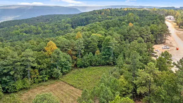 0 Big View Rd, Guild, TN 37340