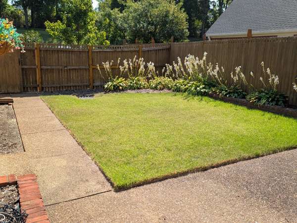 51 Wyndermere, Hendersonville, TN 37075