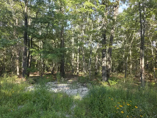 0 Pepper Road, Taft, TN 38488