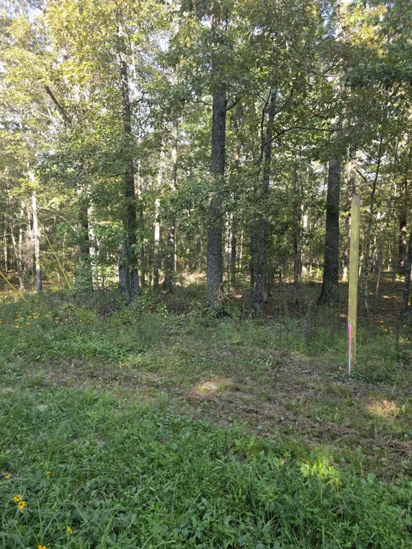 0 Pepper Road, Taft, TN 38488