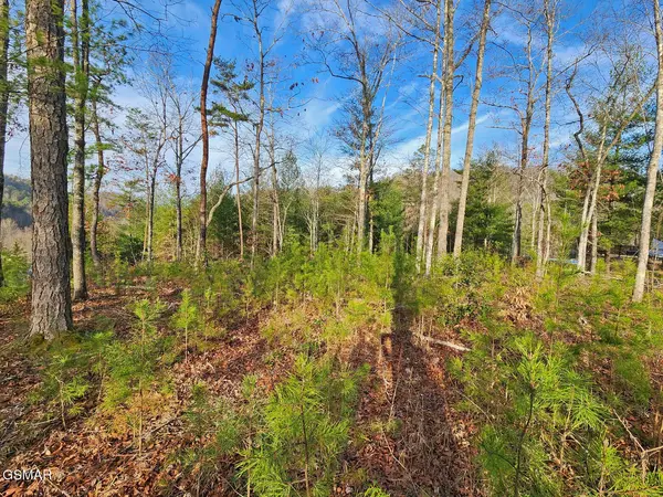 3 Mountain Ash Way, Sevierville, TN 37876