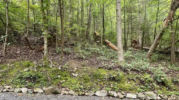 28 Walden Cove Way, Sevierville, TN 37862